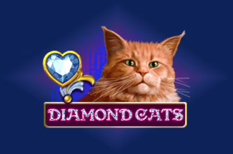 Diamond cats